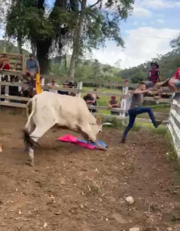 WhatsApp Image 2026-03-13 at 18.49.23